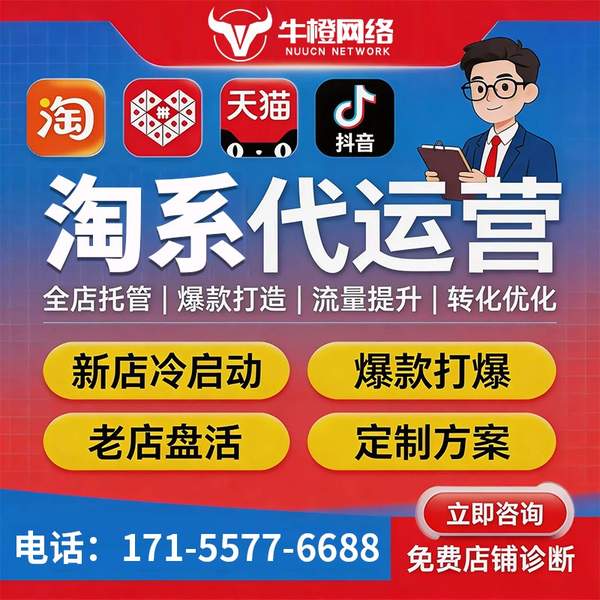 曲靖电商代运营