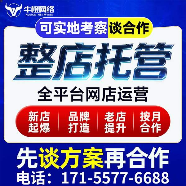 曲靖电商代运营