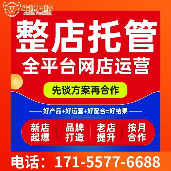 曲靖电商代运营