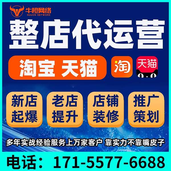 曲靖电商代运营
