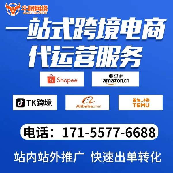 曲靖电商代运营