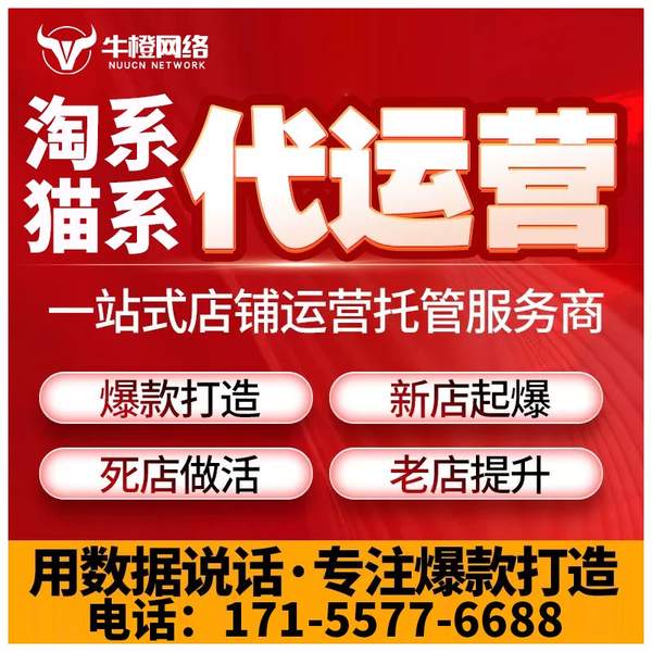 曲靖电商代运营